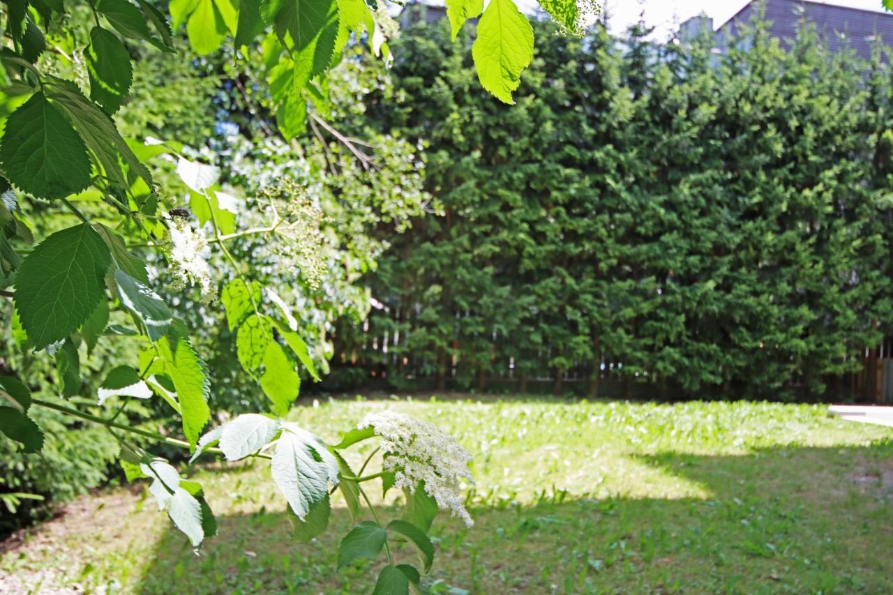 Aurturist S Candido Roulette San Candido Kültér fotó